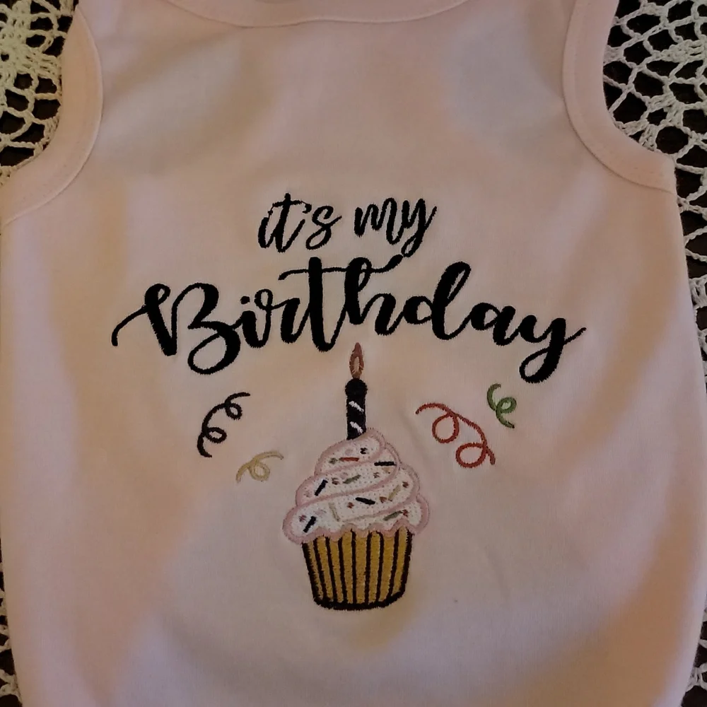 🎉❤️🎉 Host Pick🎉❤️🎉 It's My Birthday - Female Shirt